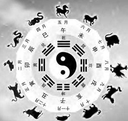 天干地支生肖|干支